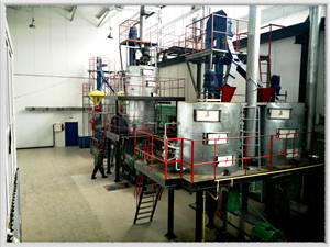 línea de aceite de oliva de 500 kg de fácil operación en israel | equipo de producción de aceite comestible de tipo empresarial a la venta